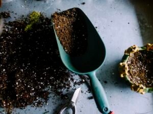 Friedhofsgärtnerei Grün an Melaten – Gartenbaubetrieb in Köln